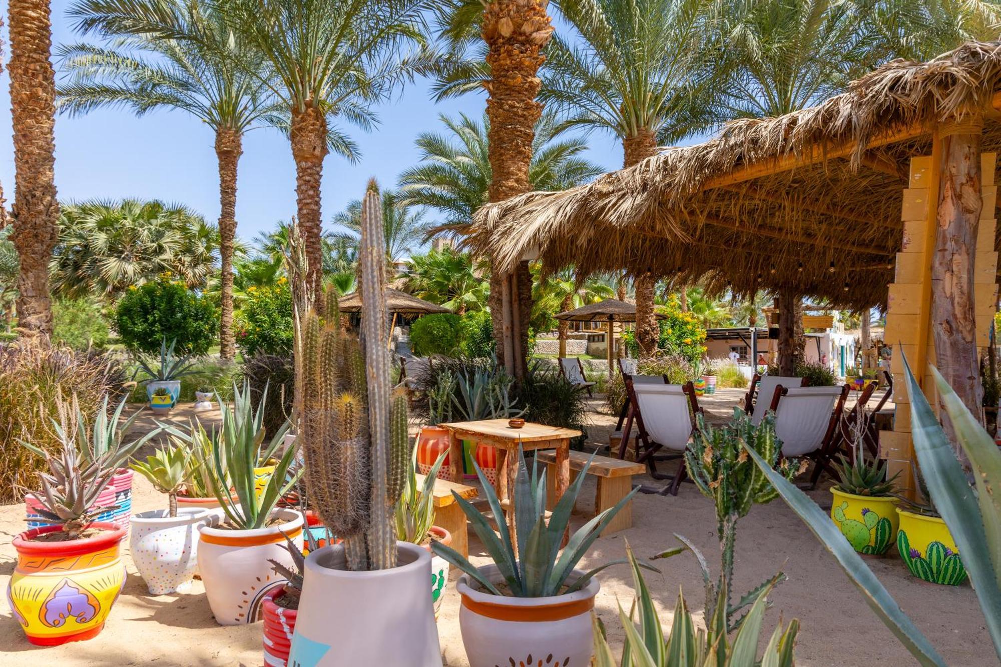 Fort Arabesque Resort, Spa & Villas Hurghada Exterior foto
